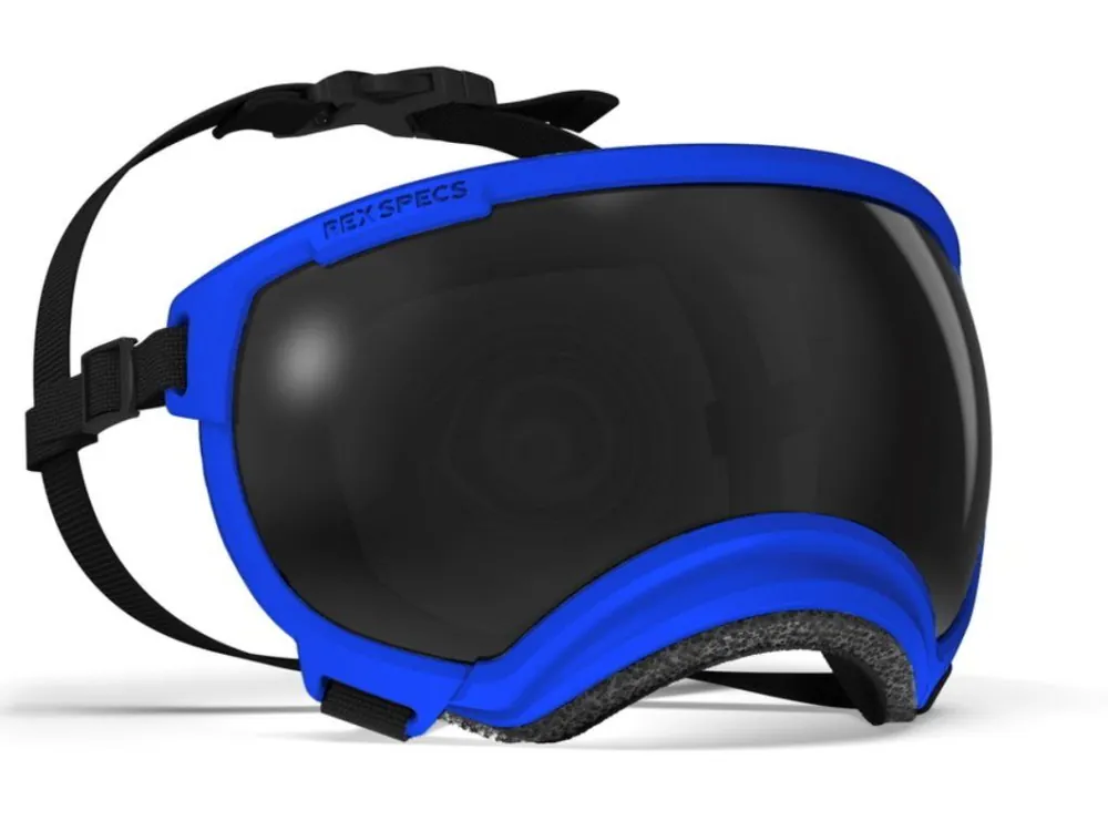 REX SPECS - brýle pro psy V2 - Balkan Blue - různé velikosti Nejlepší Volba