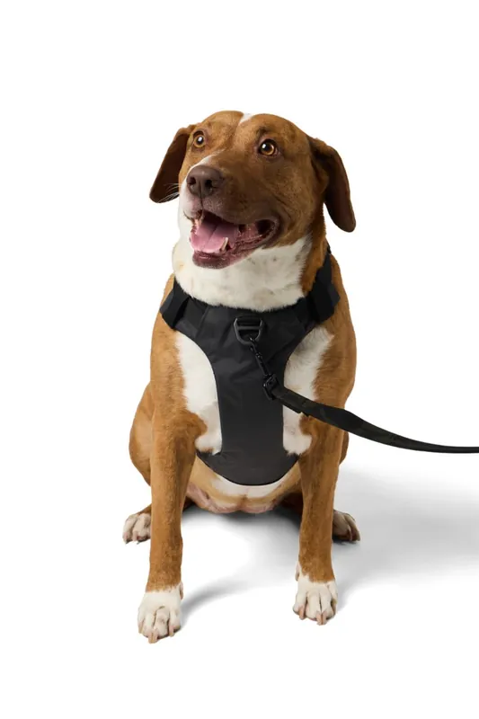Postroj 5.11 Mission Ready Dog Harness 2.0 - Volcanic M Levný