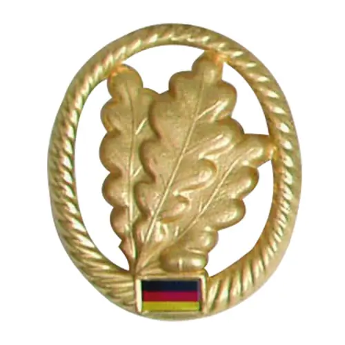 Nejlepší Cena Odznak BW na baret zlatý Jägertruppe