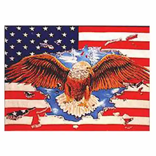 Víkendová Akce Vlajka USA EAGLE